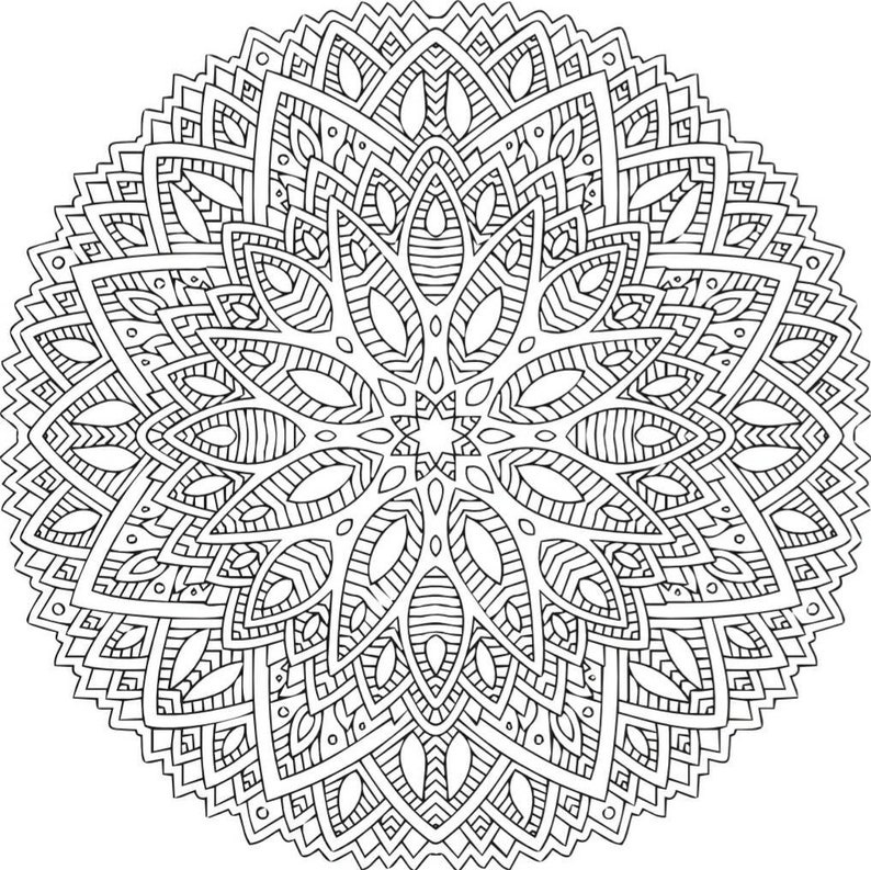 K&ouml;nnte beinhalten: Ein komplexes Mandala-Design in Schwarzwei&szlig; mit einem kreisf&ouml;rmigen Muster aus &uuml;berlappenden Bl&auml;ttern und geometrischen Formen.