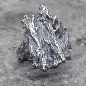 May include: A silver ring featuring a textured, organic design reminiscent of bark or a natural rock formation.