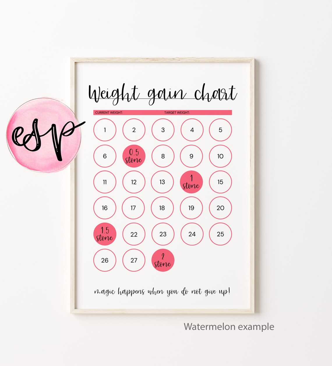 Weight Gain Planner Fitness Planner Slimming World Planner Etsy