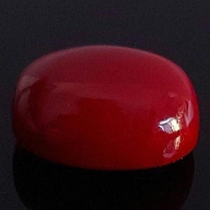 Natural Red Coral Loose Cabochon | AAA Moonga Gemstone Ring Size for Jewelry Making