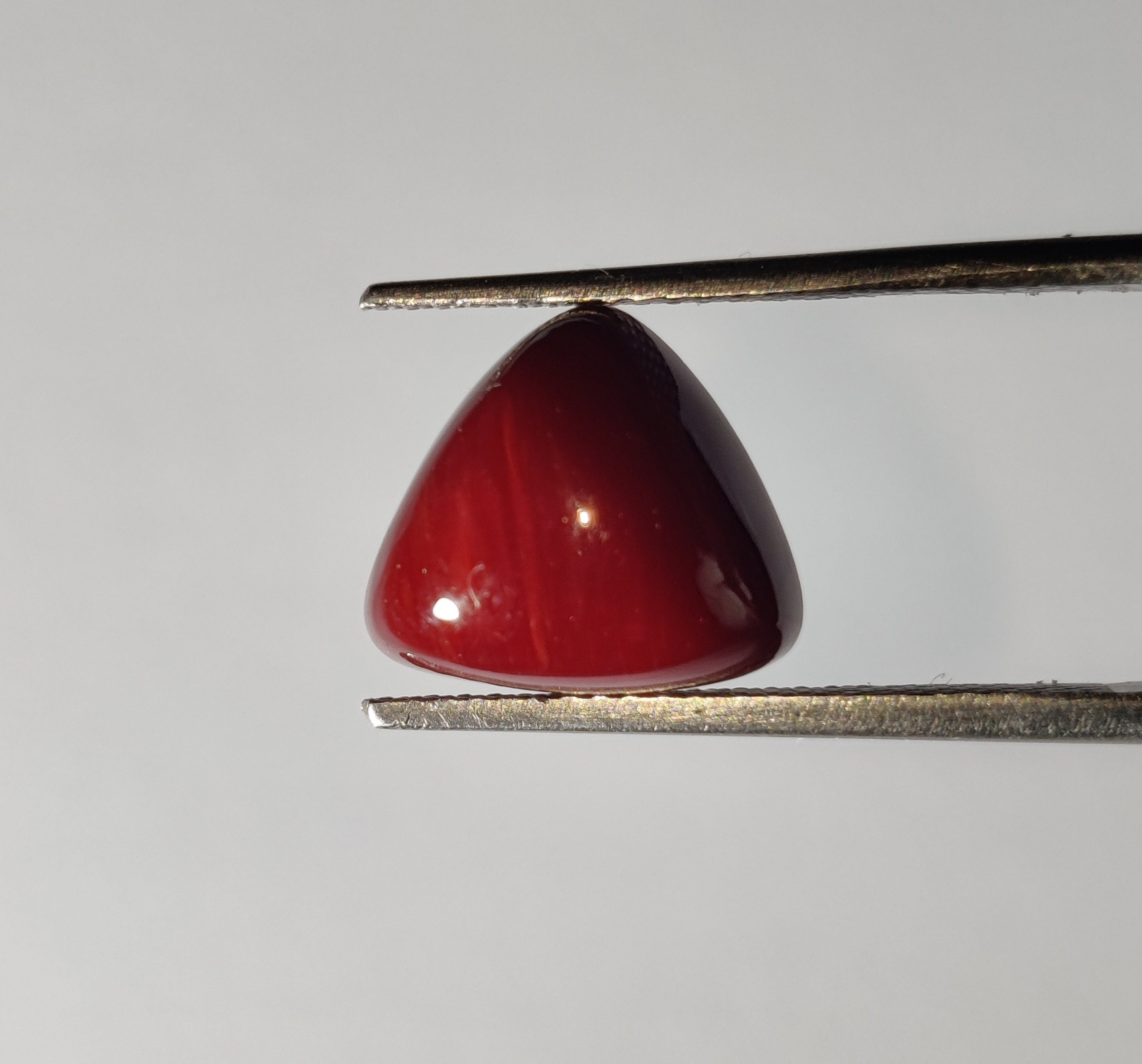 Rare..! Red Coral Gemstone | Bloody Red Triangle Shape 3ct Loose Cabochon | Blood Red Color Coral Gemstone for Pendent & Ring |