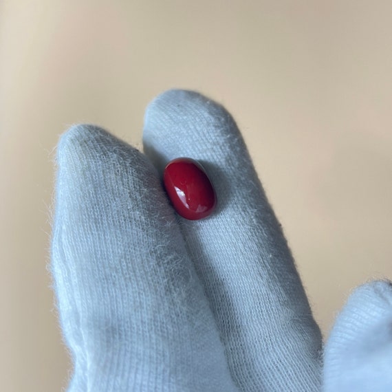 Corail Rouge Naturel De 4,67 Carats - Forme Capsule - Certifié GGL - Origine Atlantique