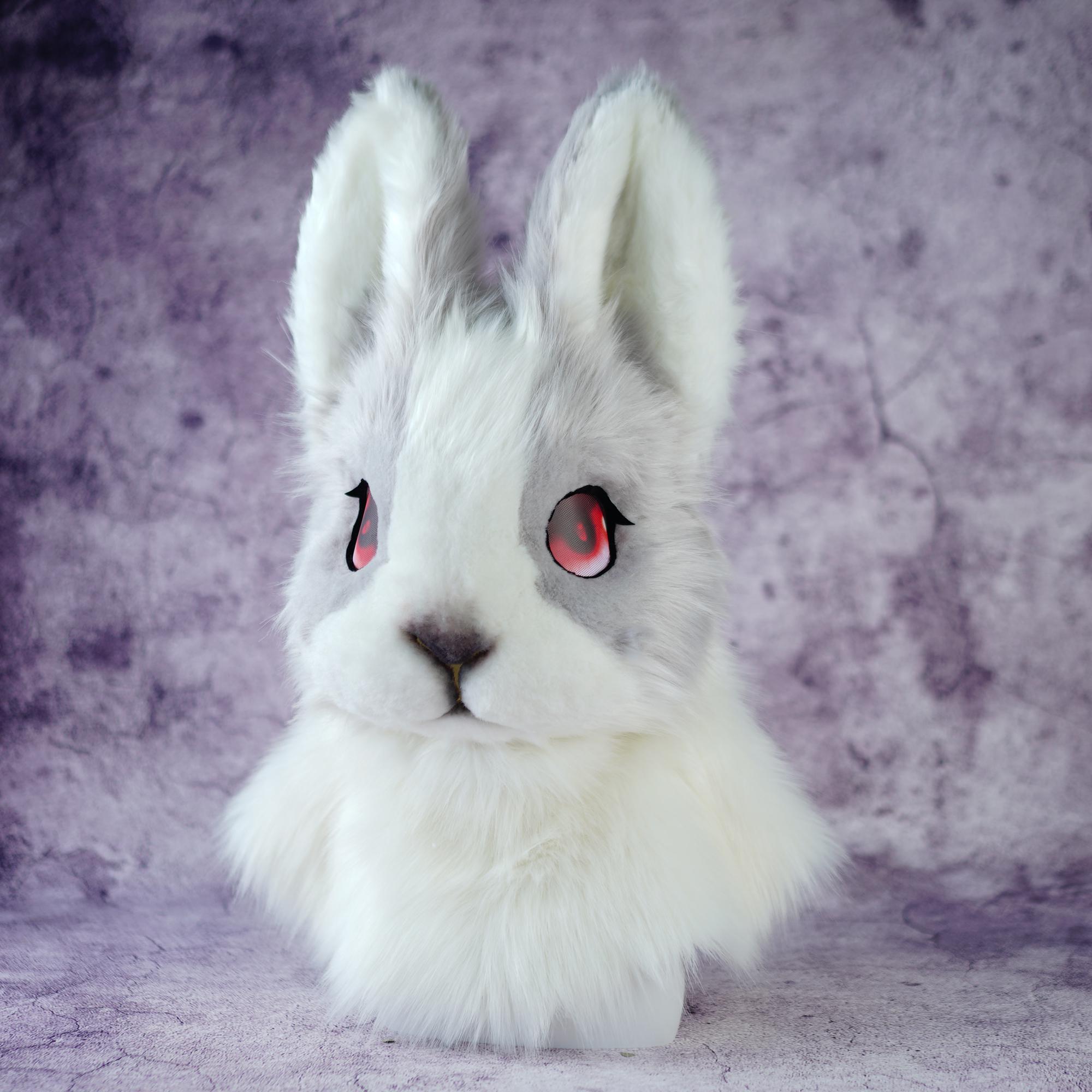 レア★セット★ Bunny & Bear ★ suit Realistic Bunny Fursuit Mask | Faux Fur Cosplay Head | Furry