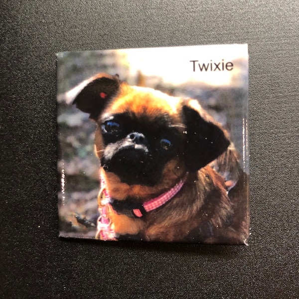 Twixie acrylic Pin