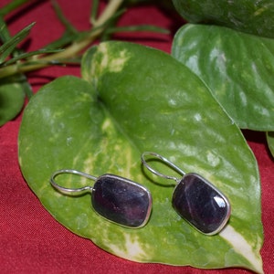 May include: A pair of silver earrings with dark purple rectangular stones. The earrings are displayed on a large green leaf against a red background, with a pink flower in the upper left corner.
