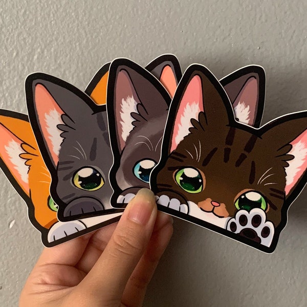 Cute Cat Peeker Stickers | Weatherproof UV-proof Vinyl Decals Stickers | Tabby, Orange, Birman Ragdoll