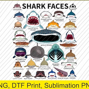 Shark Face Type of Shark Shark Faces of All Kinds PNG | Digital Download | DTF Print
