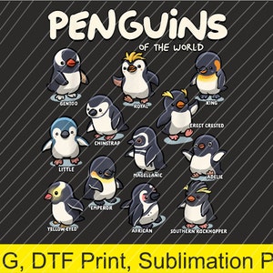 Pingüinos Animales del Mundo Amantes de los Pingüinos PNG / Descarga Digital / Impresión DTF