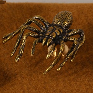 May include: A detailed, brass-coloured spider-shaped decorative object. The spider has eight legs and a textured body, with a pin on the back. The object is set against a brown background, with a wooden slice and a small piece of wood in the frame.