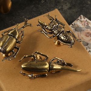 Beetle brass drawer knob/handmade antique brass art decorative door handle/insect cabinet drawer pull /insect furniture hardware