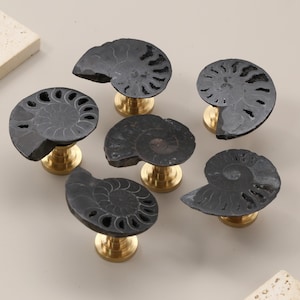 Peut inclure: Six boutons de meubles décoratifs avec un motif d'ammonite fossilisée. Les boutons gris foncé présentent des motifs en spirale complexes, montés sur des bases couleur laiton. Disposition sur une surface neutre.