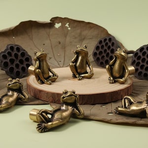 Può includere: Una collezione di figurine di rana in ottone in varie pose, tra cui sedute e reclinabili. Le rane sono esposte su una fetta di legno e foglie secche, con baccelli di semi sullo sfondo. Le rane hanno un'estetica vintage.