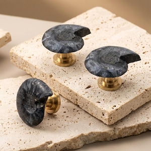 Natural Dark Nautilus drawer knob, black Spiraled Shell dresser knobs, Brass Door pulls handles, Hardware
