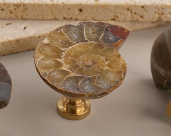 Nautilus shell fossils drawer cabinet knobs, Colorful brass dresser knobs, Door pulls handles, Hardware