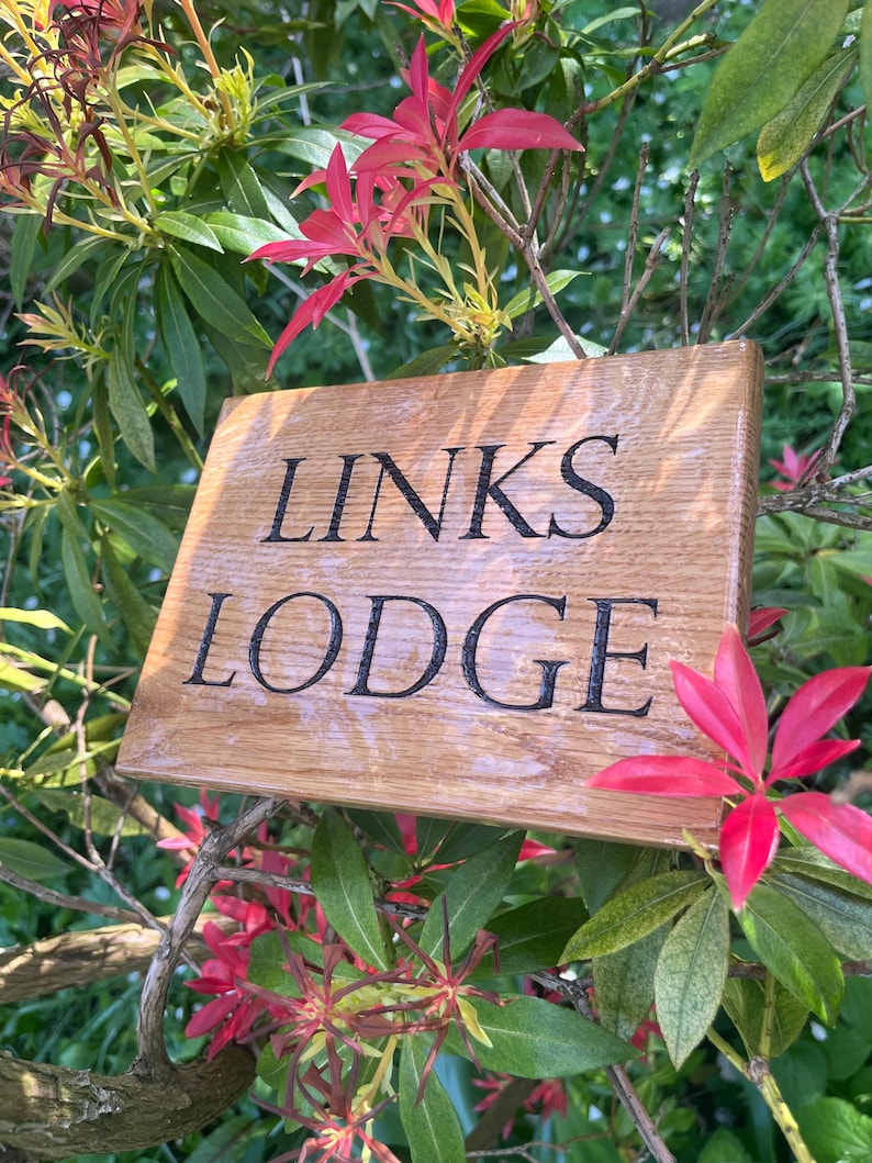 May include: A wooden sign with the text "LINKS LODGE" in black lettering. The sign is mounted on a tree branch with red flowers in the background.