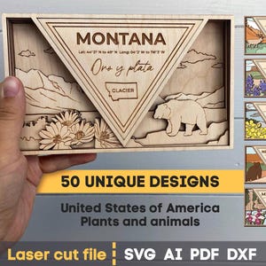 50 Amerikaanse staten bundelen SVG. Lasergesneden bestand voor Glowforge. Gelaagd cnc-project. Schilderij wanddecoratie Svg Dxf Ai Pdf Cdr, INSTANT DOWNLOAD