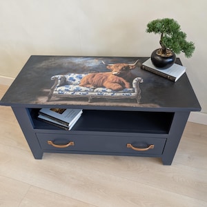 May include: A navy blue coffee table with a drawer and copper-coloured handles. The tabletop features a whimsical image of a Highland cow reclining on a floral patterned sofa. A small bonsai tree and books are on the table.
