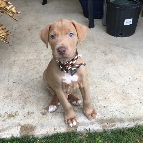 Small faces　the young mods' forgotten The Young Mods' Forgotten Story - YouTube