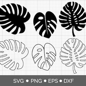 Monstera leaf SVG, Tropical leaves PNG, Svg files for cricut