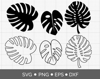 Monstera Blatt SVG, Tropische Blätter PNG, SVG-Dateien für Cricut