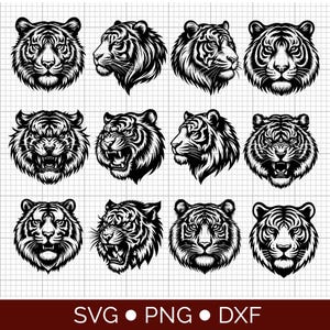 May include: Twelve black and white illustrations of tiger heads in different poses. The images show front-facing, profile, and snarling tiger faces. The bottom of the image includes the text "SVG • PNG • DXF".
