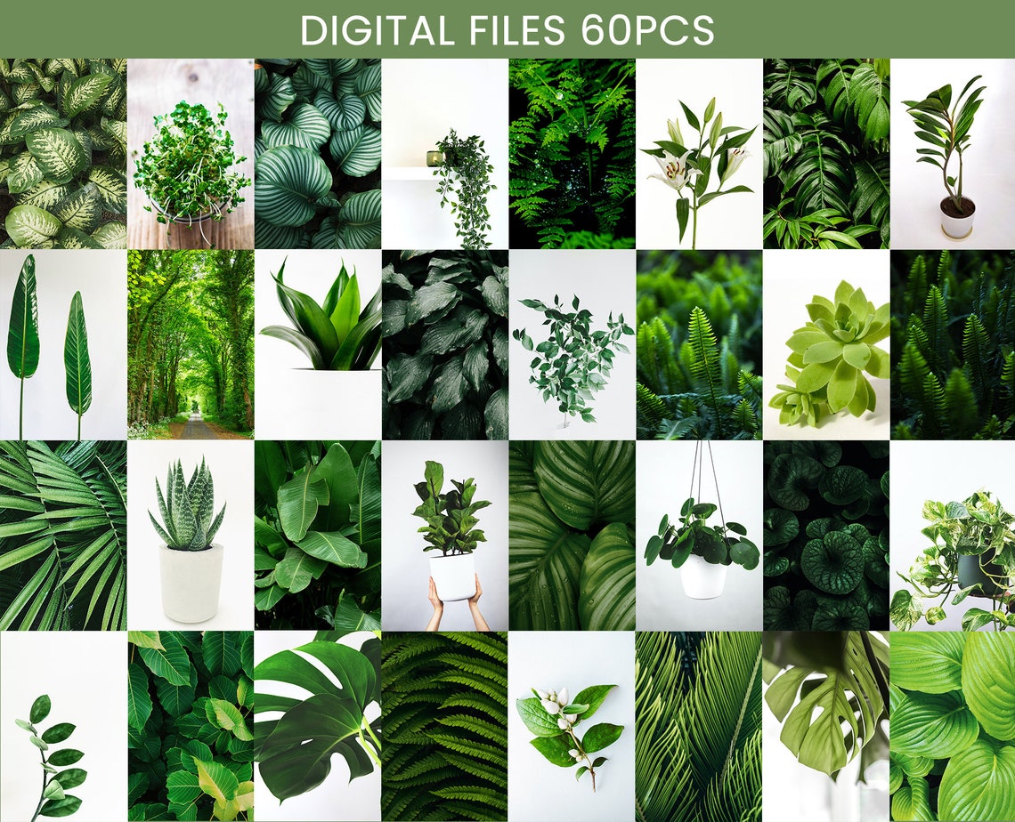 Green plant wall collage kit Collage kit wall decor 60 PCS Etsy