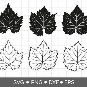 Grape leaves svg files for cricut, Botanical SVG PNG DXF