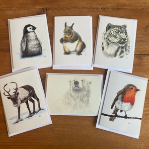6 set di carte stagionali della fauna selvatica