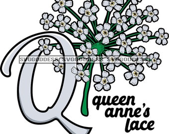 Download Queen Annes Lace Png Etsy