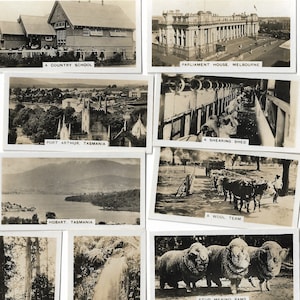 36 Vintage Zigaretten Karten - Australien. 1932. Komplettes Set. Westminster Tobacco Trade Karten. Australische Ozzy Geschenk Geschichte Antique Real Photos