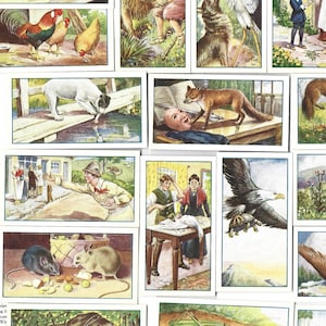 25 Vintage Zigarettenkarten - Aesops Fabeln. 1931. Komplettes Set. Gallaher Tabakkarten Handelskarten. Aesop Folklore Moralische Geschichten Geschenk