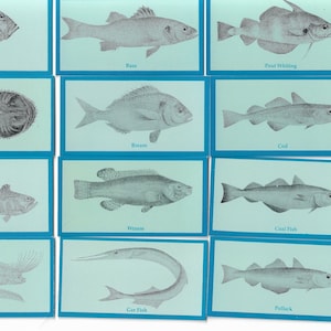 Seefisch - Komplettes Set von 16 Handelskarten Herausgegeben von John Brindley im Jahr 1992