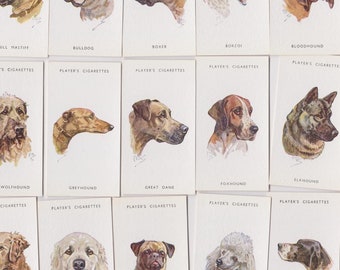 50 Vintage Cigarette Cards - Dogs Breeds Heads From Paintings by Peter Biegel. 1955. Full Set. John Player. Tobacco cards. Doggo Dog Gift