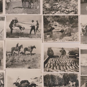 50 Vintage Zigaretten Motive - Ein sportlicher Urlaub in Neuseeland. 1928. Komplettes Set. Willen. Sportkarten, echtes Foto. Jagen, Fischen. Geschenk.