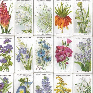 50 Vintage Cigarette Cards - Old English Garden Flowers. 1910. Full Set. Wills. Tobacco cards Trade cards. Floral Gardening Gift Antique