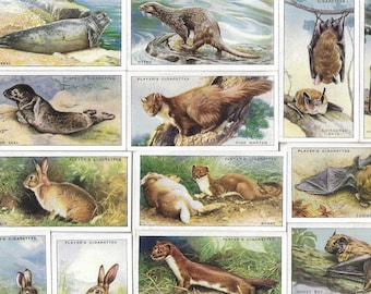 50 Vintage Cigarette Cards - Animals of the Countryside. 1939. Full Set. John Player Tobacco cards Trade cards. Cute Gift
