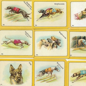 52 Vintage Zigarettenkarten - The Black Cat Greyhound Racing Game. 1926 Full Set Carreras Tabakkarten. Antike Spielkarten Spiel Geschenk