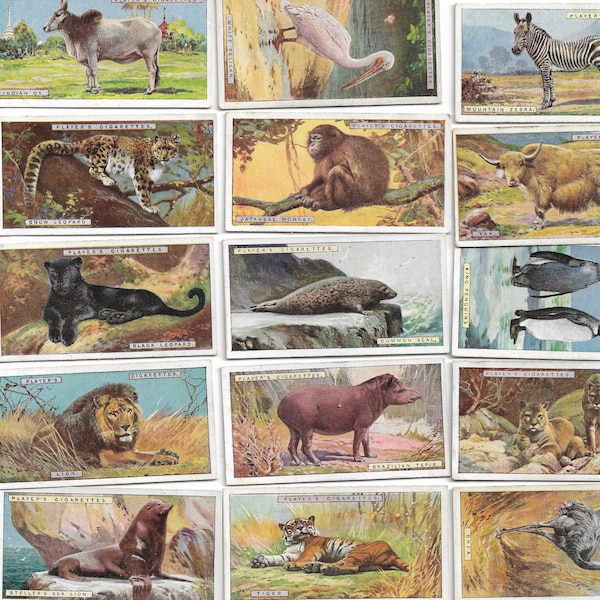 50 Vintage Cigarette Cards - Natural History. 1924. Full Set. John Player. Tobacco cards Trade cards. Animals Nature Wild