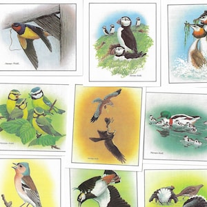 Birds in Springtime - Complete Set of 12 Trade Cards Issued by Cadburys Chocolate in 1983. Ornithology Birdwatching bird watching gift