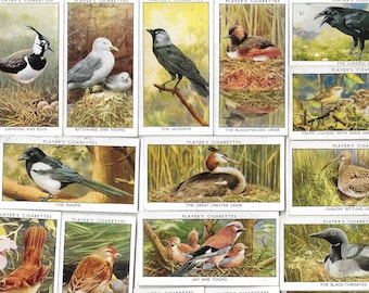 50 Vintage Cigarette Cards - Wild Birds. 1932. Full Set. John Player Tobacco cards Trade cards. Ornithology Birdwatcher Gift Cute Ephemera