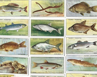 C1935 SEA FISHES Complete Set of 50 ORIGINAL Cigarette / Tobacco Cards - by John  Player