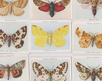 40 Vintage Cigarette Cards - Butterflies & Moths. 1938. Full Set. Wills. Tobacco cards. Antique Butterfly, Lepidoptery, Lepidopterology Gift