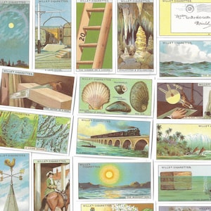 Kennst du das? Trivia Cards (Serie 2). Moderner Nachdruck des originalen Sets von 50 Wills Zigarettenkarten aus dem Jahr 1924. Fact Cards Quiz Quiz