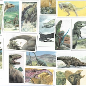 20 cartes de thé vintage - La piste des dinosaures. Brooke Bond. Ensemble complet. Article original (1993) Cadeau scientifique d’histoire préhistorique