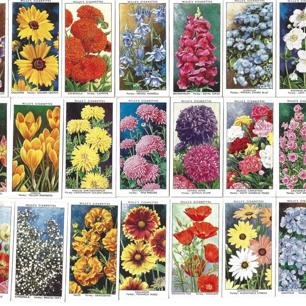 50 Vintage Cigarette Cards - Garden Flowers. 1939. Full Set. Wills Tobacco cards Trade cards. Gift Floral Gardening Pretty Cute Plant Bujo