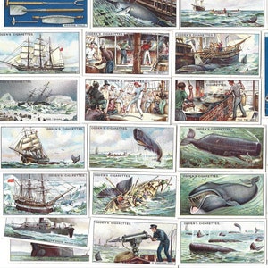25 cartes de cigarettes vintage - Chasse à la baleine. 1927. Ensemble complet. Cartes de tabac Ogdens Cartes commerciales. Cadeau historique de l'industrie maritime