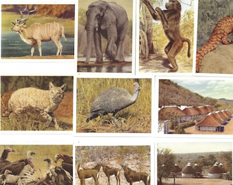 100 Vintage Cigarette Cards - Our South African National Parks. 1941. Full Set. United Tobacco South Africa. Animals, wildlife, safari gift.