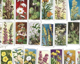 125+ Vintage Botanical Cigarette Card Selection. Floral, flower themed cards from 1901-1938. For junk journals, ephemera, art projects.