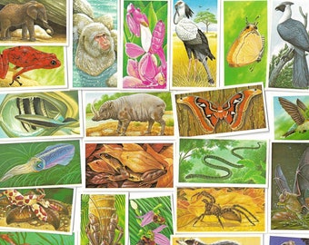 50 vintage tekort - Otroliga varelser. Brooke Bond. Komplett set. Originalföremål (1986) Natur Djur Söt Bujo Gåva