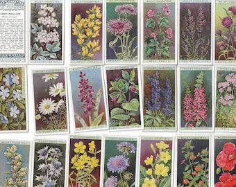 50 Vintage Cigarette Cards - Wild Flowers. 1937. Full Set. Wills. Tobacco cards Trade cards. Floral Gardening